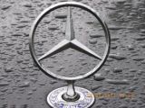 Mercedes-Benz E-Класс 2001 з пробігом 225 тис.км. 1.998 л. в Кропивницком на Autos.ua