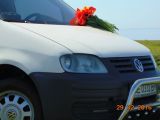 Volkswagen Caddy 2005 с пробегом 225 тыс.км. 2 л. в Николаеве на Autos.ua