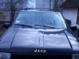 Jeep Grand Cherokee 1993 з пробігом 180 тис.км. 4 л. в Стрые на Autos.ua