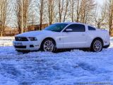 Ford Mustang 2011 с пробегом 75 тыс.км. 3.72 л. в Полтаве на Autos.ua