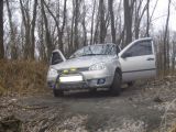ВАЗ Kalina 2009 с пробегом 1 тыс.км. 1.4 л. в Черкассах на Autos.ua