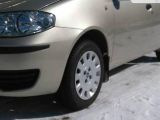 Fiat Punto 2007 с пробегом 86 тыс.км. 1.2 л. в Тернополе на Autos.ua