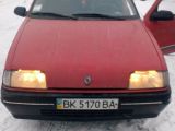 Renault 19 1991 з пробігом 325 тис.км. 1.764 л. в Луцке на Autos.ua
