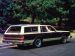 Buick Estate Wagon III